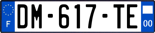 DM-617-TE