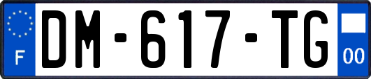 DM-617-TG