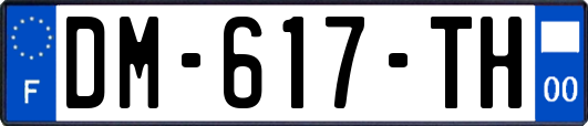 DM-617-TH