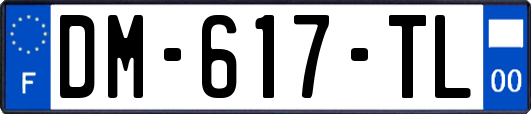 DM-617-TL