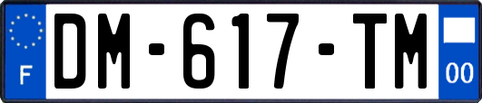 DM-617-TM