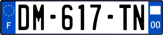 DM-617-TN