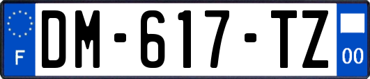 DM-617-TZ