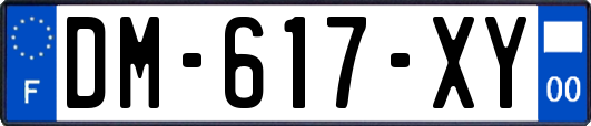 DM-617-XY