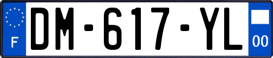 DM-617-YL