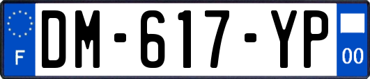 DM-617-YP