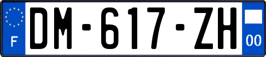 DM-617-ZH