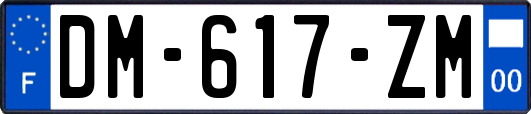 DM-617-ZM