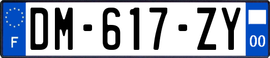 DM-617-ZY