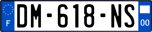DM-618-NS