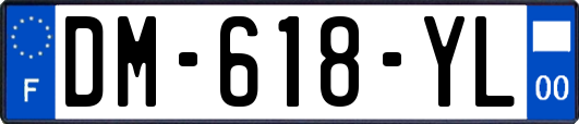 DM-618-YL