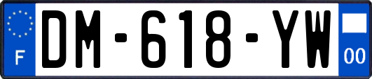 DM-618-YW