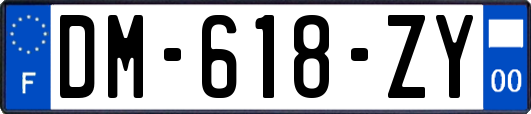 DM-618-ZY