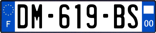 DM-619-BS