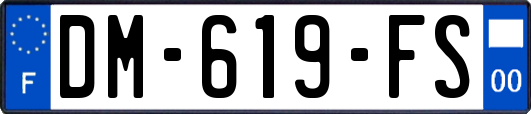 DM-619-FS