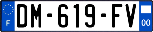 DM-619-FV