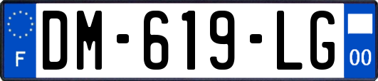 DM-619-LG