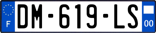 DM-619-LS