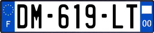 DM-619-LT