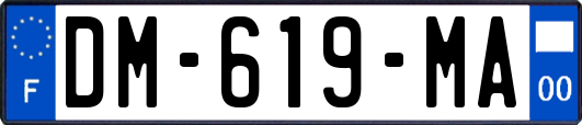 DM-619-MA