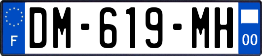 DM-619-MH
