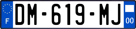 DM-619-MJ