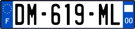 DM-619-ML