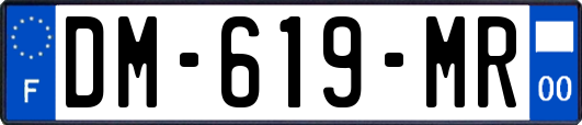 DM-619-MR