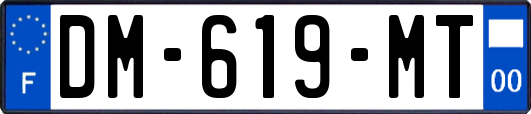 DM-619-MT