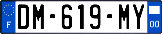 DM-619-MY