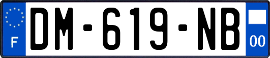 DM-619-NB