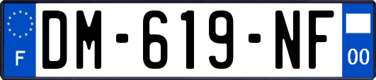DM-619-NF