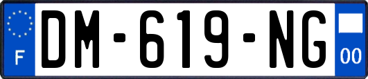 DM-619-NG
