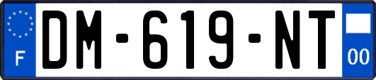 DM-619-NT