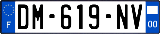 DM-619-NV