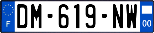 DM-619-NW