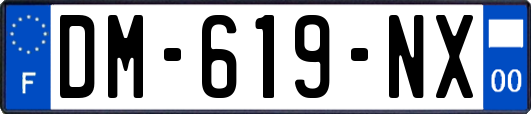 DM-619-NX