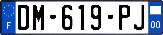 DM-619-PJ