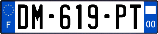 DM-619-PT