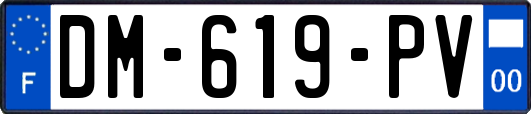 DM-619-PV