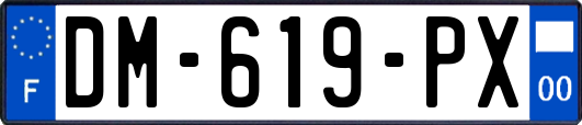 DM-619-PX