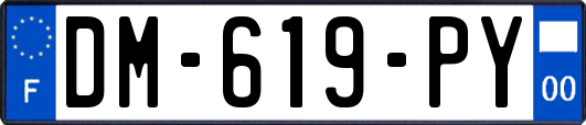 DM-619-PY