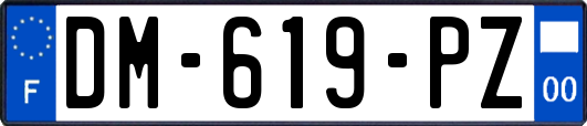 DM-619-PZ