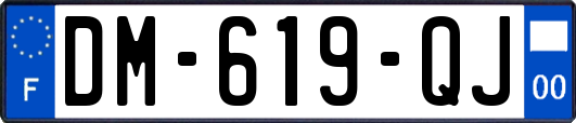 DM-619-QJ