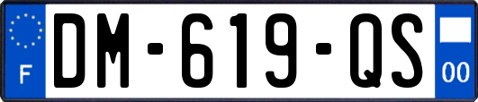 DM-619-QS