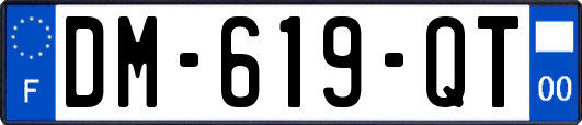 DM-619-QT