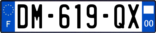 DM-619-QX