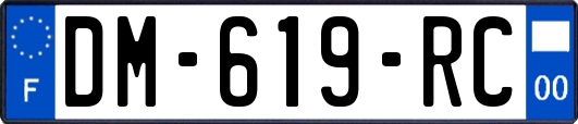 DM-619-RC