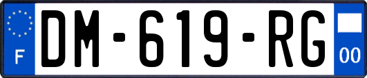 DM-619-RG