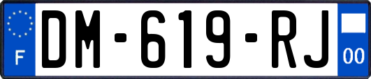 DM-619-RJ